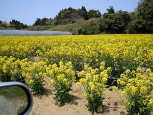 2013051001