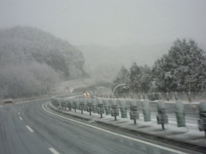 2013112901