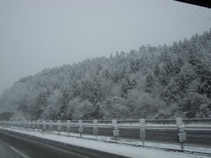 2013112902