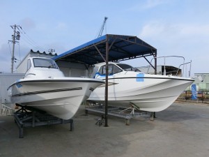 2016030601