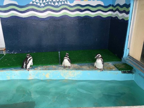 夏季休業のお知らせ 夏季休業のお知らせ