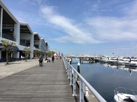 夏季休業のお知らせ