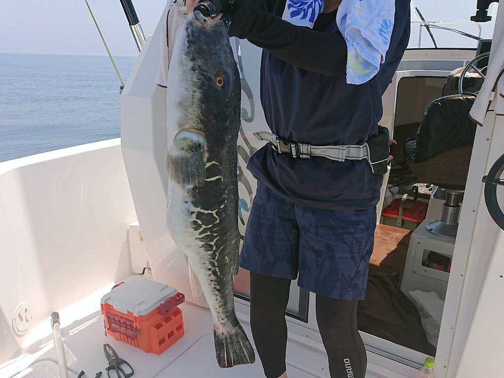 6月10日釣果　写真
