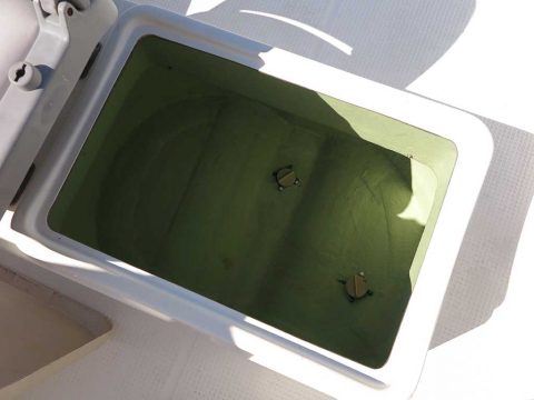 ヤマハ FC-21　写真
