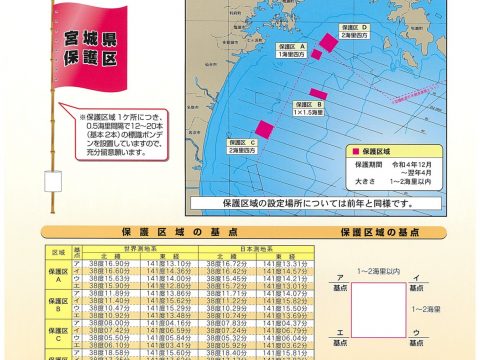 仙台湾保護区のお知らせ