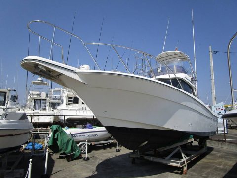 ヤマハ SF-31