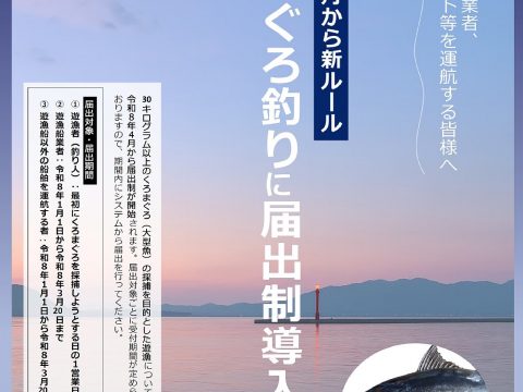 クロマグロ釣りルールについて