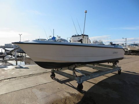 マーキュリー シーブリーム21　写真