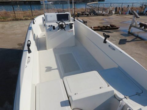 マーキュリー シーブリーム21　写真