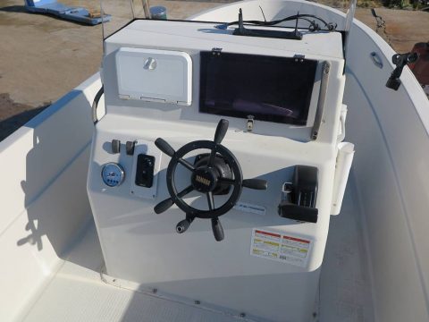 マーキュリー シーブリーム21　写真