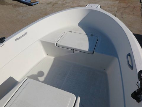 マーキュリー シーブリーム21　写真