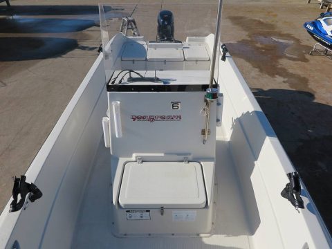 マーキュリー シーブリーム21　写真