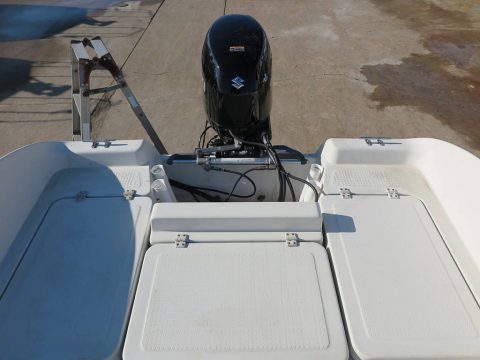 マーキュリー シーブリーム21　写真