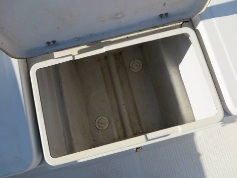 マーキュリー シーブリーム21　写真