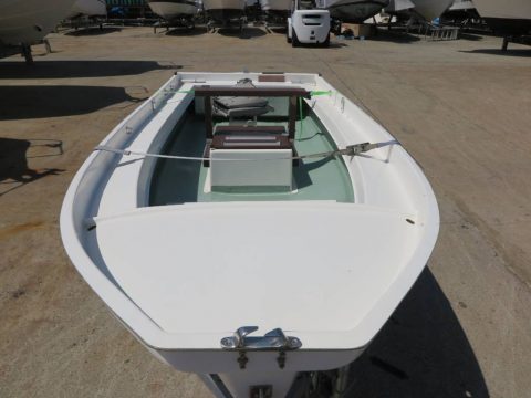 パーフェクター11　写真